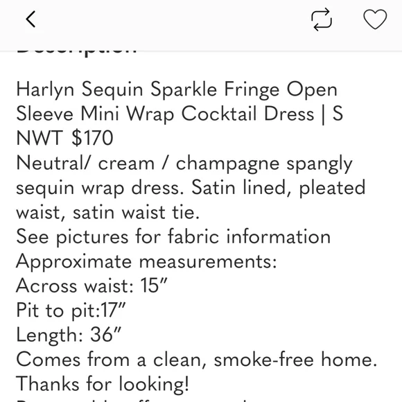 NwT Harlyn Silver Sequin Fringe Dress (Missing Belt) - Picture 13 of 13